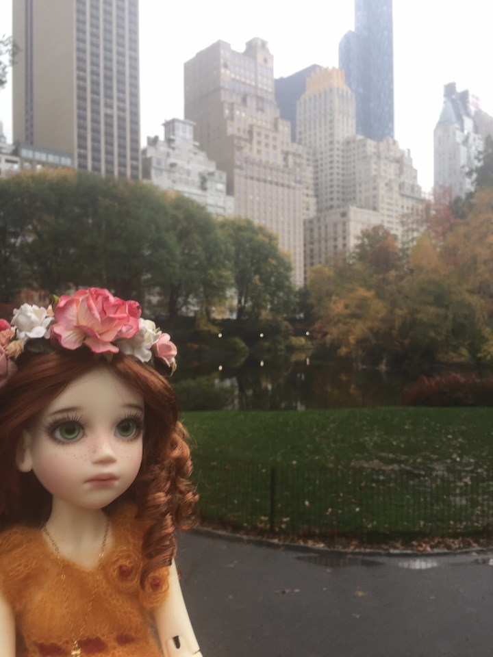 Луна гуляет в Центральном Парке в Манхаттане