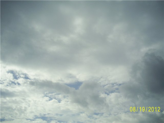 Ничто не радует принцессу (фото 4)