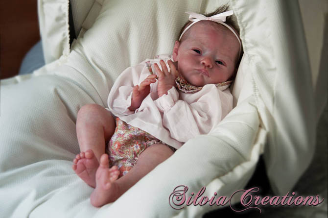 Новый молд Will от Натали Шолль