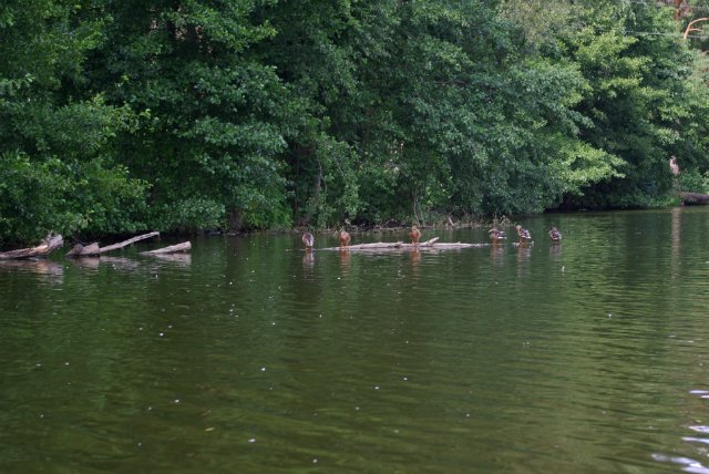 Приезжайте в Кратово — Туризм и путешествия: фотоотчеты из поездок