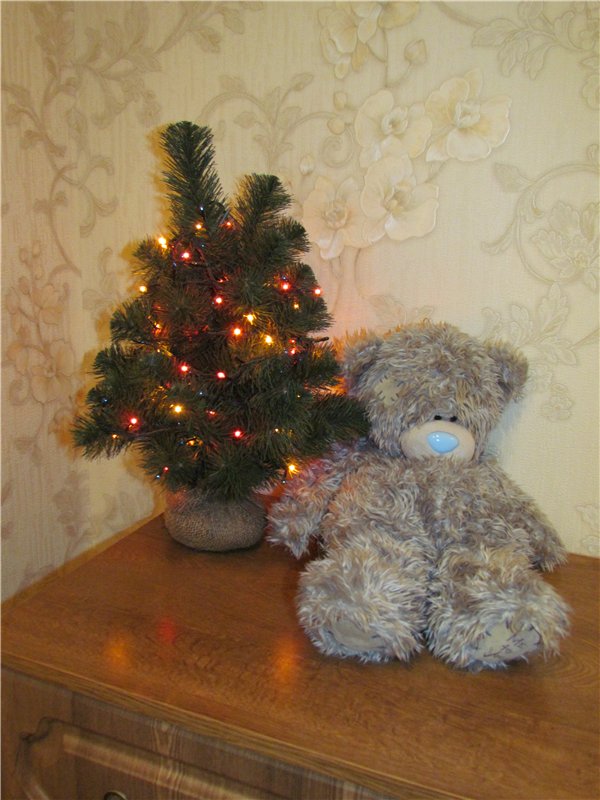 В преддверии Нового года... или новогодняя фотосессия Мишек