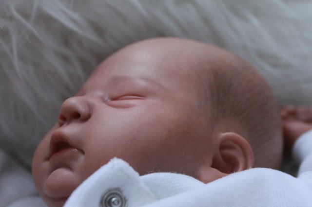 Мои двойняшки-кукла реборн Элины Кудрявцевой