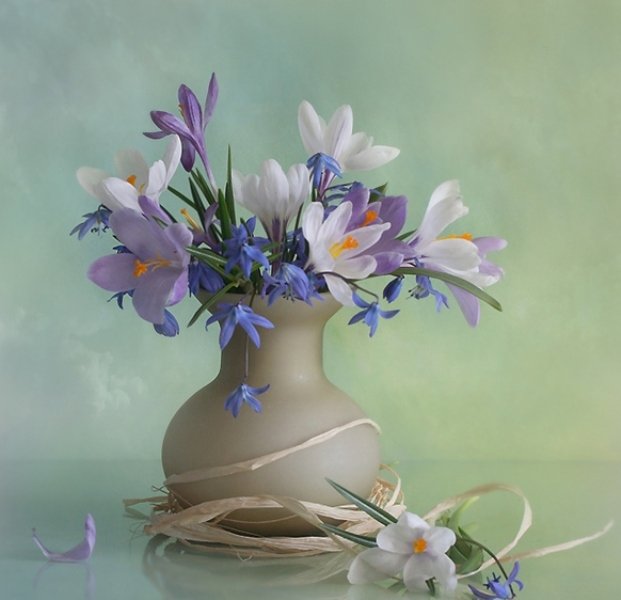 В душе моей Весна! Как наша Паолочка повзрослела