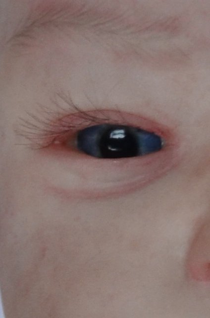 Кукла реборн из молда Вилль