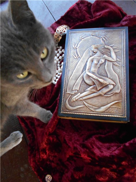 "Соло: красота старого Хлама" (фото 6)