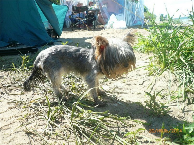 По мотивам "Варежки" — Другие хобби и увлечения: сад