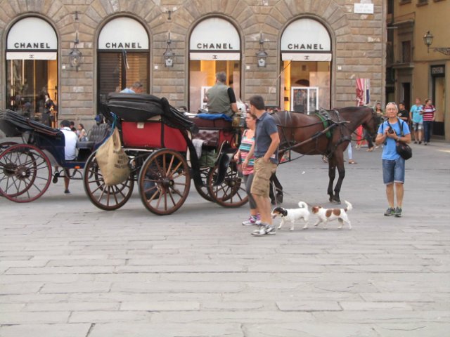 "Моя Италия". Часть 4 - Флоренция