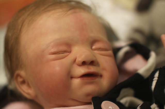 Фотоотчёт с выставки кукол MOSCOW FAIR 2015 - наши мастера кукол реборн | Бэйбики Фотоотчёт с выставки кукол MOSCOW FAIR 2015 - наши мастера кукол реборн (фото 5)