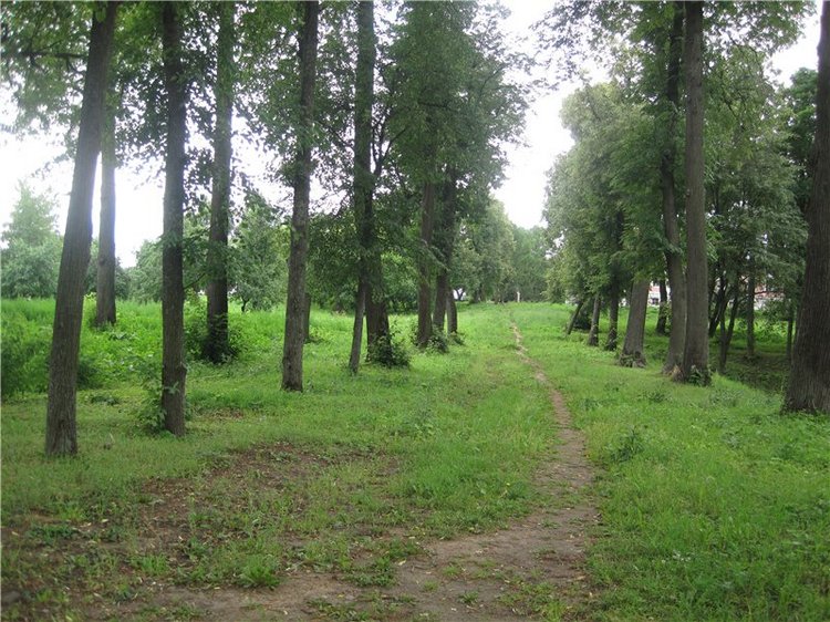 Моя маленькая художница. Кукла Kaethe Kruse Таточка | Бэйбики Моя маленькая художница. Кукла Kaethe Kruse Таточка (фото 7)