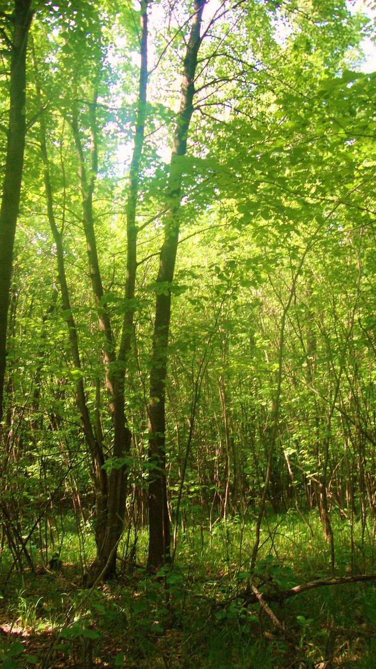 Ах, лето красное! Антикварная кукла Верочка (фото 8)