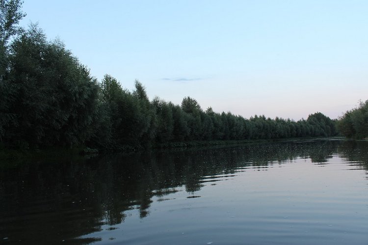 Как мы с Сидни сплавлялись