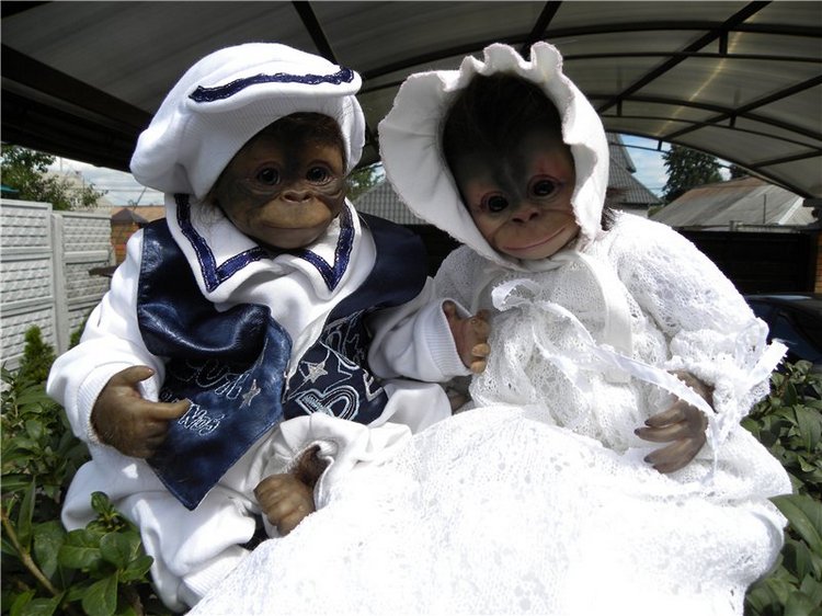 Необычное пополнение в моем доме (фото 10)