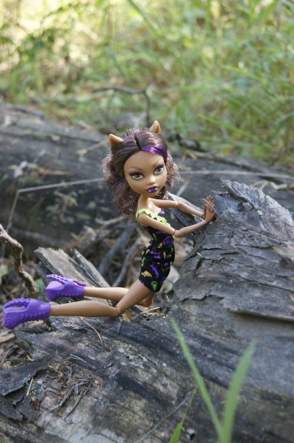 Как Лиу и Клодин за грибами ездили