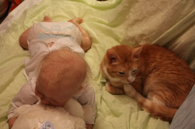 Малыш реборн Сёма — Куклы Реборн (Reborn): работы мастеров (фото 10)