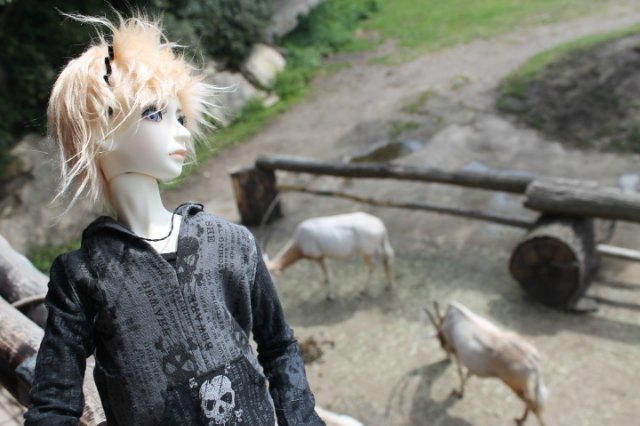 Сказка о Мишеле, BJD часть 2