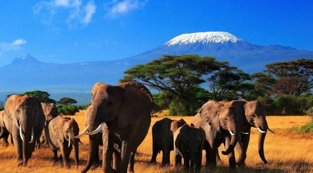 Сказка о Мишеле, BJD часть 2 (фото 4)