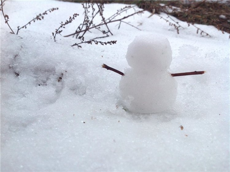 Зимние эльфийские развлечения, Pukifee Mio