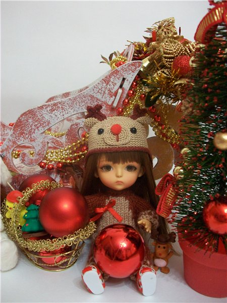 Как мои Латишки встречали Новый Год