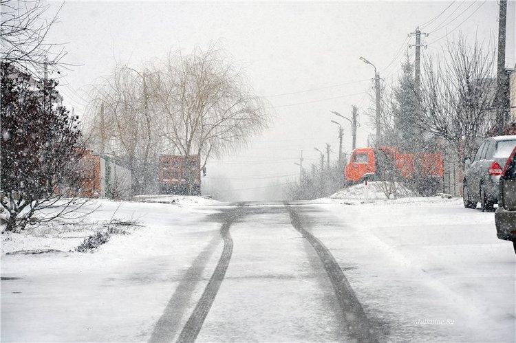 Коты прилетели... первые вестники весны