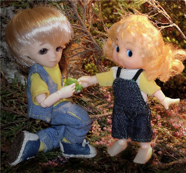 Я снова покупаю билет на поезд (фото 5)