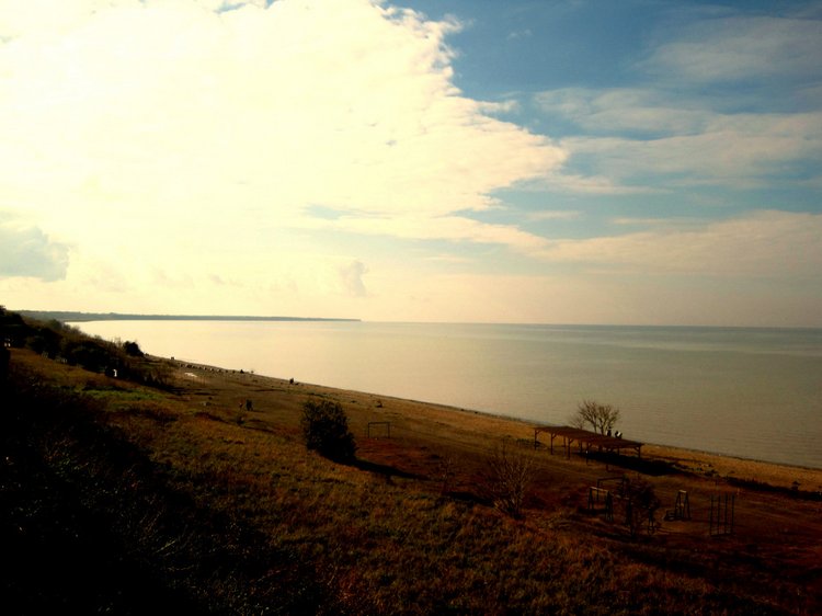 Путешествие к морю. Коллекционная кукла Фрося. Flori, Rolanda Heimer, Schildkrot