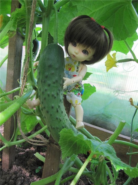 Воспоминания о лете. Куклы БЖД | Бэйбики Воспоминания о лете. Куклы БЖД