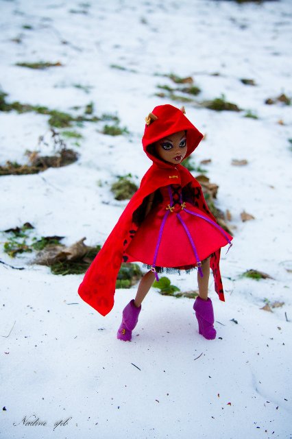 Сказочная волчица. Кукла Монстер Хай (фото 7)