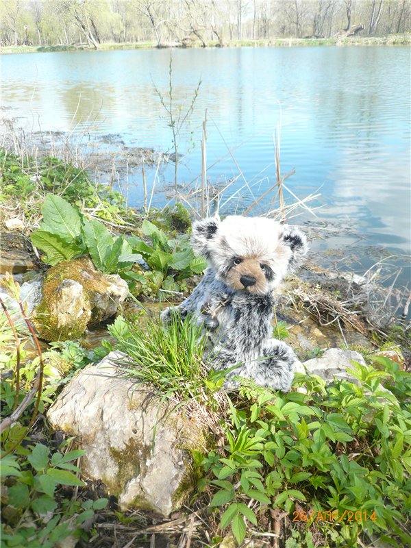 Про Мишку. Коллекционный Мишка Панда от Charlie Bears (фото 9)