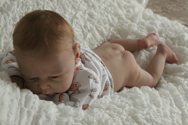 Мальчик Ноэльчик... Куколка реборн Виктории Вишни (фото 7)