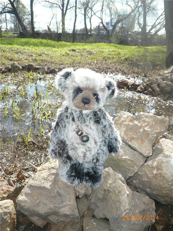 Про Мишку. Коллекционный Мишка Панда от Charlie Bears