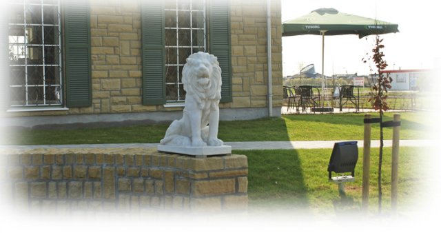 Replica of Graceland - или Дания, второй дом Элвиса (фото 5)