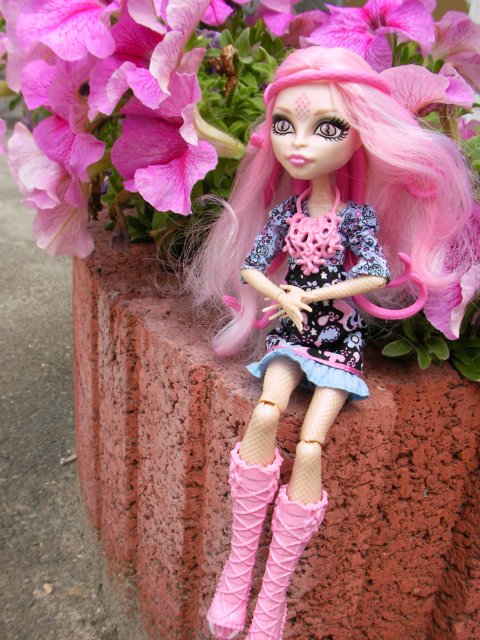 Лето... Цветы... Монстры — Куклы Monster High и Ever After High: G1