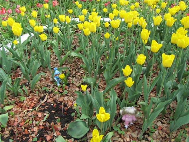 Весенний день... или как девочки ходили на пикник.№1 (фото 6)