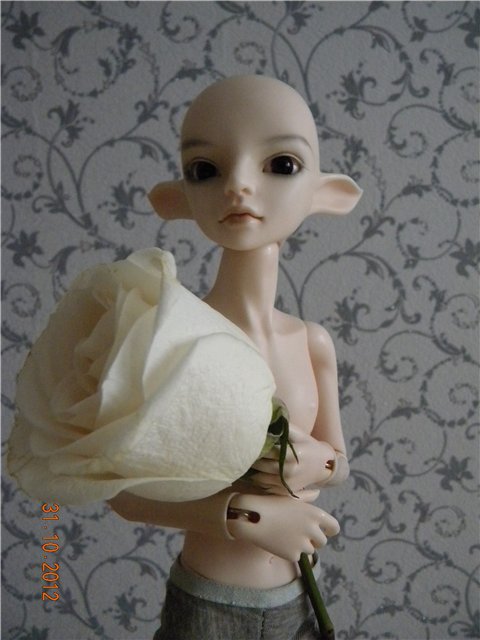 Resinsoul Ming, БЖД