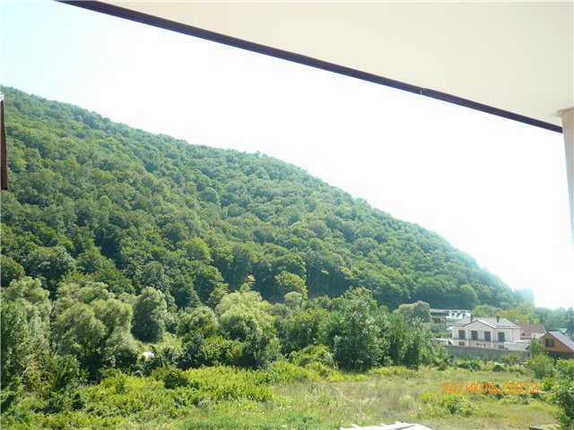 Сосенка Пин. Отпуск — Разные куклы BJD (БЖД): редкие бренды