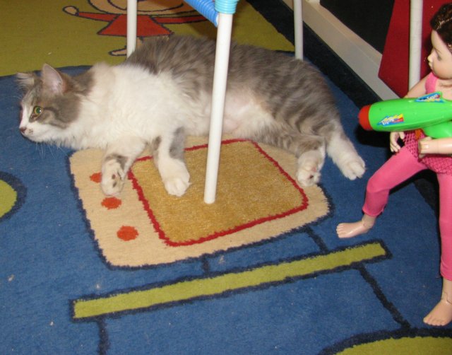 Звездные войны, эпизод десятый: Куклы против котов (фото 5)