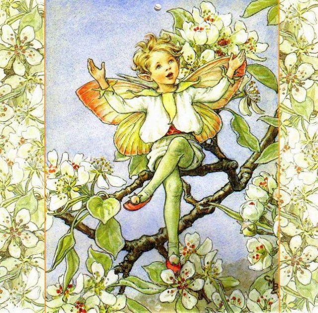 Долгая жизнь цветочных фей от иллюстраций Cicely Mary Barker до кукол Birgitte Frigast (фото 3)