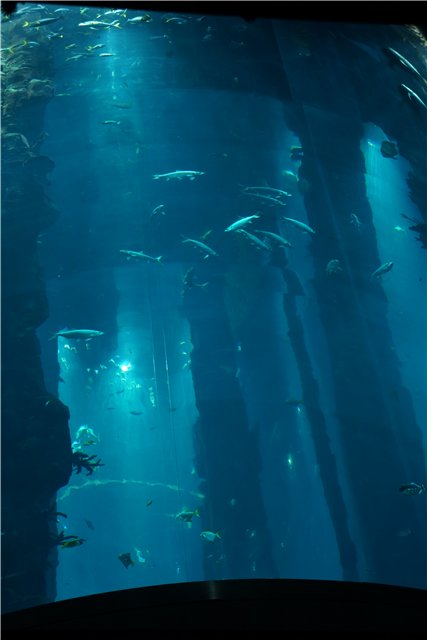 Взятие Берлина. Часть 3. Аква-дом, Улыбка бегемота и Прототип куколок Шильдкрот (фото 3)