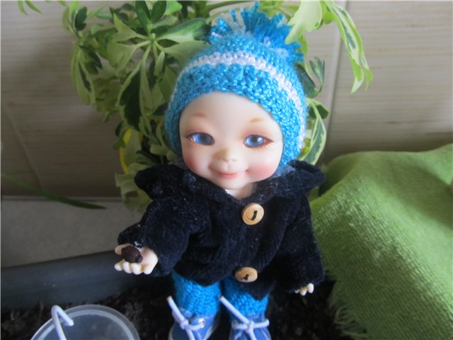 "Мастер-класс" по посадке огорода