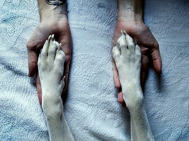 Не просто фото | Бэйбики Не просто фото — Болталка и разговоры обо всем: жизнь