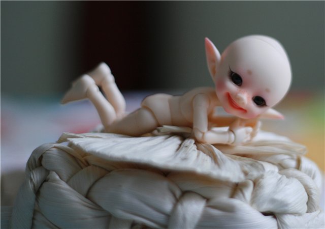 В нашем доме поселился замечательный жилец! Реалпуки Попо