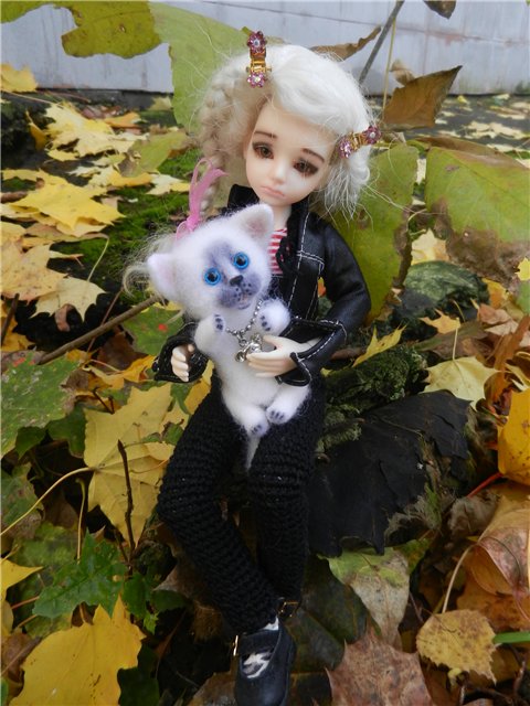 Возвращение Элизы (БЖД от Планетдолл) (фото 9)