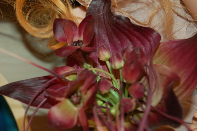 Сказка - коллекционная кукла Fragária vésca от Nicole Marschollek-Menzner (фото 7)