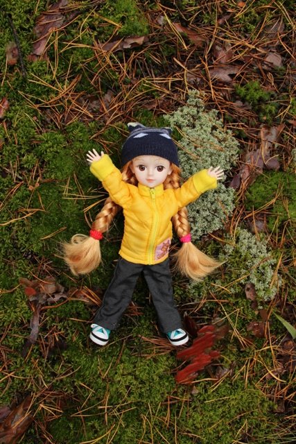 По грибы. Бузулукский бор