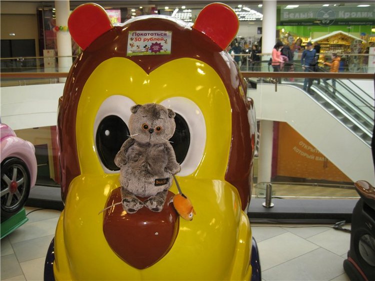 Кошки-мышки! Котик Басик — Кот Басик (фото 3)