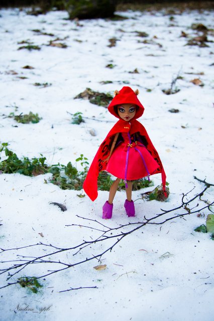 Сказочная волчица. Кукла Монстер Хай (фото 6)