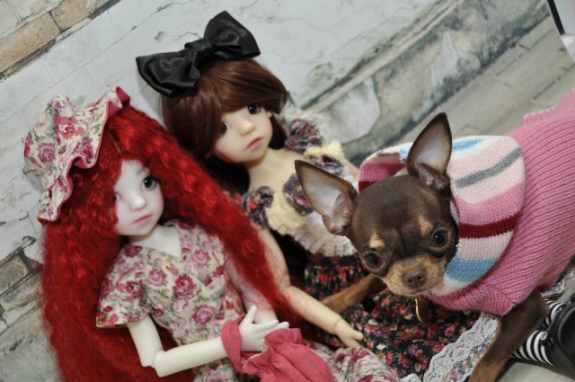 Иззи от Кайе Виггз. Мои маленькие нежные девочки. Ну разве не красотки | Бэйбики Иззи от Кайе Виггз. Мои маленькие нежные девочки. Ну разве не красотки