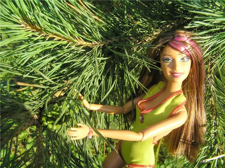 Летняя прогулка Анжелики ( Кукла Barbie Fashionistas от Mattel)