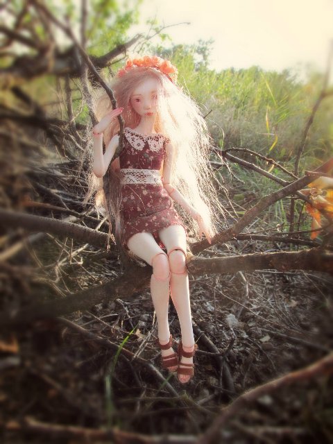 Шарнирные Куклы Варвянской Алины