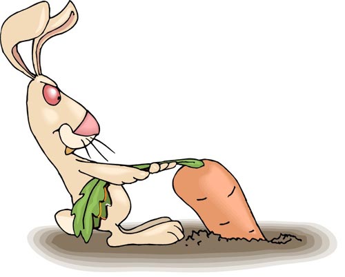 Помошница, хозяюшка Олюшка (Bettina Feigenspan-Hirsch / Zapf ) (фото 8)